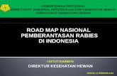 ROAD MAP NASIONAL PEMBERANTASAN RABIES DI …civas.net/cms/assets/uploads/2019/02/01_Drh.-I...road map nasional pemberantasan rabies di indonesia n i ketut diarmita direktur kesehatan