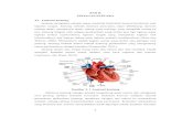 BAB II TINJAUAN PUSTAKA 2.1 Anatomi Jantungeprints.umm.ac.id/41015/3/BAB II.pdf · pembentukan trombin, dan pembentukan trombus. Hal ini dapat menyebabkan ... terjadinya komplikasi