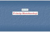 BIO306ocw.usu.ac.id/.../8110000043-prinsip-bioteknologi/bahan_genetik_ekstrakromosom.pdf · •Bahan genetik ekstrakromosom terdiri dari plasmid dan virus (pada bakteri disebut bakteriofaga).