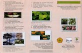 '~I'~kepri.litbang.pertanian.go.id/new/images/pdf/... · rendaman, ekstrak dan rebusan dari bagian tanaman berupa akar, umbi, batang, daun, biji dan buah. Apabila dibandingkan dengan