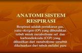 ANATOMI SISTEM RESPIRASI - akbidkholisaturrahmibinjai.ac.id fileANATOMI SISTEM RESPIRASI Respirasi adalah pertukaran gas, yaitu oksigen (O²) yang dibutuhkan tubuh untuk metabolisme