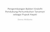 Pengembangan Bakteri Endofit Pendukung Pertumbuhan …balaipontianak.ditjenbun.pertanian.go.id/uploads/download/1553604727.pdf · Bakteri Endofit Durian Suhandono & Utari, 2014. ...