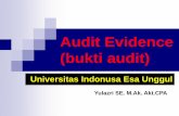 Audit Evidence (bukti audit) - digilib.esaunggul.ac.id · Prosedur audit apa yang akan digunakan 2. Ukuran sample yang akan dipilih untuk prosedur ... persediaan dan kas, tetapi dapat