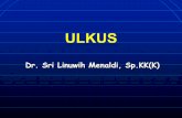 Ulkus tk IV FKUI - staff.ui.ac.idstaff.ui.ac.id/system/files/users/sri.linuwih/material/ulkus.pdf-selulitis -phlebitis-limfangitis -septikemi •Pemeriksaan penunjang-Sediaan langsung