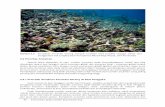 rubble global warming destruktif - Wiadnya DGR · 2012-03-06 · Gambar 3.7 Indeks ancaman terhadap terumbu karang di Asia Tenggara (A) ... menunjukkan besarnya pengaruh aktifitas