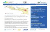Laporan Situasi KLB cVDPV1 Indonesia #7 14 Juni 2019 · 11/27/2018 · Laporan lengkap dan rutin dari Kabupaten/Kota yang menunjukkan cakupan imunisasi di banyak wilayah ... • Iklan