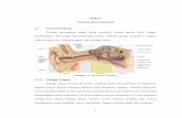 BAB II TINJAUAN PUSTAKA 2.1 Anatomi Telingaeprints.undip.ac.id/62937/3/BAB_2.pdfOtot-otot pada cavum timpani ... jaringan sekitar, efek recoil jaringan elastis pada dinding tuba eustachius,