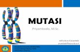 MUTASI - staff.unila.ac.idstaff.unila.ac.id/priyambodo/files/2016/05/10052016-Mutasi.pdf · Delesi dan Duplikasi Cri-du-chat syndrome (Del 5p) Wolf-Hirschhorn syndrome (Del 4p16)