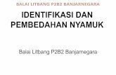 BALAI LITBANG P2B2 BANJARNEGARA IDENTIFIKASI DAN ... · IDENTIFIKASI DAN PEMBEDAHAN NYAMUK Balai Litbang P2B2 Banjarnegara. BALAI LITBANG P2B2 BANJARNEGARAMorfologi Telur Anopheles