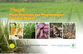Profilpangan.litbang.pertanian.go.id/files/profil/Profil Puslitbangtan.pdf · ini adalah IR 64, Ciherang, Mekonga, Situ Bagendit, Cigeulis, dan varietas unggul lainnya. Varietas-varietas