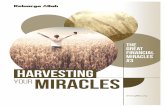 THE GREAT FINANCIAL MIRACLES #3 - gbika.org · Outline Kotbah, Minggu 17 Februari 2019 - The Great Financial Miracles #3 4 of 11 Seir menjadi miliknya. 6 MAKANAN HARUSLAH KAMU BELI