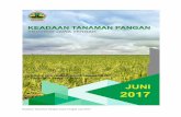 Keadaan Tanaman Pangan Jawa Tengah Juni 2017satudata.semarangkota.go.id/adm/file/20171127093743ktpjuni.pdf · tahun 2016 namun jika dibandingkan dengan rata-rata lima tahun terakhir