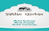 Qurban Proposal 2019 format kecil - sahlanqurban.com · Contoh SAPI berat273 kg BERAT SAPI BALI berat 320 kg. SAPI /JAWA SAPI BALI berat245 SAPI BALI ?Þerat-262 kg