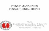 PRINSIP MANAJEMEN PENYAKIT GINJAL KRONIK - cheps.or.id · PRINSIP MANAJEMEN PENYAKIT GINJAL KRONIK Afiatin Divisi Ginjal Hipertensi Dept IP Dalam FK Unpad-RS. Hasan Sadikin Bandung