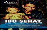 IBU SEHAT, - batukarinfo.com SEHAT_FINAL DRAFT1.pdf · peran anggota “tim asistensi” dari Dinas Kesehatan Propinsi Sulawesi Tenggara dan juga pada dukungan penuh dari Kepala dan