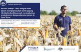 PRISMA bekerja sama dengan mitra dalam mempromosikan … · “PRISMA dan pemerintah daerah di Madura mendukung kami dalam mempromosikan benih jagung hibrida berkualitas dan mengembangkan