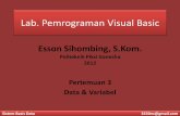 Lab. Pemrograman Visual Basic · PDF fileLab. Pemrograman Visual Basic Pertemuan 3 Data & Variabel Esson Sihombing, S.Kom. Politeknik Piksi Ganesha 2012 Sistem Basis Data 3550ns@gmail.com