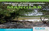 Guía para el mantenimiento de áreas de MANGLARobservatorio.epacartagena.gov.co/wp-content/uploads/2016/06/tomo-iii... · características naturales en forma aislada o en arreglos