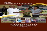 DINAS KESEHATAN...Gambar 3.1 menunjukan bahwa, pada tahun 2015 Angka Kematian Ibu di Kabupaten Lanny Jaya pada tahun tahun 2011 tercatat 6 kasus, tahun 2012 tercatat 8 kasus, tahun