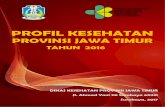 PROFIL KESEHATAN - dinkes.jatimprov.go.id PROVINSI JAWA... · Semoga Profil Kesehatan Jawa Timur Tahun 2016 ini dapat bermanfaat bagi semua pihak, baik di lingkungan pemerintahan,
