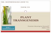PLANT TRANSGENESIS - Universitas Negeri Yogyakartastaffnew.uny.ac.id/upload/197810222010122001/pendidikan/... · 2015-09-02 · Plant transgenics Transfer of genes to plants directly