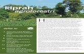 agr agrofoforesorestritri - World Agroforestry Centreold.worldagroforestry.org/sea/Publications/files/newsletter/NL0045-10.pdfCerita dari pinggiran habitat orangutan Batang Toru, Sumatera