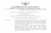 LEMBARAN NEGARA REPUBLIK INDONESIAjdih.batan.go.id/unduh/jdih/20170705141236_PPNomor29Tahun2008.pdf · Radiasi Pengion dan Bahan Nuklir sebagaimana dimaksud dalam Pasal 4, Pasal 6,