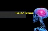 Trauma Kepalaunivbsi.id/pdf/2014/454/454-P09.pdf · pemb. Drh intraparenkim otak/ cedera penetrasi. • Gamb. Khas lesi pdrh diantara neuron otak yg relatif normal. Tepi bisa tegas