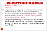 ELEKTROFORESIS · Dengan analisis elektroforesis perjalanan obat dapat dilacak c).Alat yang menggunakan tenaga 100 volt/cm secara bertingkat, dapat memisahkan beberapa senyawa hanya
