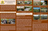 PENGELOLAAN LAHAN GAMBUT UNTUK AGROFORESTRI DAN …place.unsri.ac.id/wp-content/uploads/2018/02/Leaflet-Paludikultur-2.pdf · monokultur, lahan gambut hanya ditanami tanaman nenas.