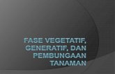 Fase vegetatif dan generatiftb_kawakibiazmi.staff.gunadarma.ac.id/Downloads/files/62529/Fase... · Fase vegetatif dan generatif tanaman Fase juvenile/vegetatif mengarah pada pembentukan