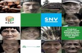 minyak sawit berkelanjutan- melestarikan masa depan hutan · 2015-12-31 · dengan aktor-aktor lain menuju sektor kelapa sawit berkelanjutan di Indonesia. SNV Indonesia SNV, yang