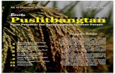 Puslitbangtan - Kementerian Pertanianpangan.litbang.pertanian.go.id/files/BP-63-2016.pdf · super pada lahan sawah irigasi seluas 50 ha pada MT 2015-2016 di Kabupaten Indramayu, Jawa