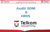 Audit SDM HRIS · 2019-11-24 · Fakultas Komunikasi dan Bisnis Inspiring Creative Innovation HR audit dimaksudkan sebagai “qualitycontrol check” secara menyeluruh atas aktifitas-aktifitas