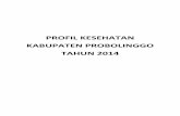 PROFIL KESEHATAN KABUPATEN PROBOLINGGO TAHUN 2014 · tahun ke belakang serta analisa trend dan perbandingan antara pencapaian terhadap target dari indikator-indikator Indonesia Sehat