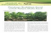 No. 5 - Juli 2013 Panduan Budidaya Karet untuk …old.worldagroforestry.org/downloads/Publications/PDFS/BR...No. 5 - Juli 2013 LEMBAR INFORMASI Panduan Budidaya Karet untuk Petani