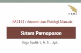 FA2141 : Anatomi dan Fisiologi Manusiakuliah.itera.ac.id/pluginfile.php/48736/mod_resource/content/2/Sistem... · FA2141 : Anatomi dan Fisiologi Manusia . Topik Bahasan •Anatomi