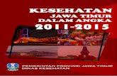 Mahasiswa Magang Universitas Airlangga KESEHATAN JATIM... · ii Hasil Kajian Bersama Dinas Kesehatan Provinsi Jawa Timur dengan Mahasiswa Magang Universitas Airlangga KESEHATAN JAWA