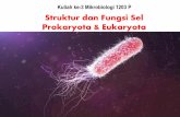 Kuliah ke-3 Mikrobiologi 1203 P Struktur dan Fungsi Sel ... · Prinsip dari Teori Sel 1. Seluruh makhluk hidup tersusun dari satu atau lebih sel. 2. Sel berasal dari sel-sel yang
