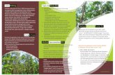 Latar Belakang Tugas dan Peran KPHbpkh8.menlhk.go.id/pdf/leaflet/kph_bali.pdf · pengelolaan hutan sampai pada tingkat tapak atau yang disebut kesatuan pengelolaan hutan merupakan