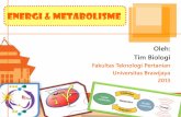 Energi & METABOLISMEmaharajay.lecture.ub.ac.id/files/2014/07/4.-Biology_Energy-and-Metabolisms.pdftransport molekul maupun ion melalui membran. Hukum Termodinamika I : ... •2. ko-faktor