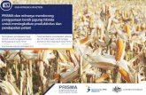 PRISMA dan mitranya mendorong penggunaan …...potensi jagung hibrida. Di salah satu lokasi intervensi ini, yakni pulau Madura, Jawa Timur, rata-rata hasil panen lahan yang menggunakan
