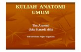 KULIAH ANATOMI UMUM - Universitas Negeri Yogyakartastaffnew.uny.ac.id/upload/131873965/pendidikan/anatomi... · 2017-01-23 · KULIAH ANATOMI UMUM Tim Anatomi (Jaka Sunardi, dkk)