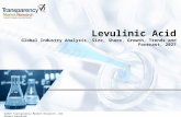 Levulinic Acid Market Global Industry Analysis and Forecast upto 2027