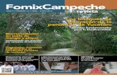acervos fundamentales para la biodiversidad.iies.unam.mx/.../wp-content/uploads/2016/10/Lopez-Toledo_et-al_2012_Los-bosques-de.pdfpeche y de Quintana Roo, la mayoría de ellas no protegidas.