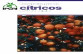 Descriptores para los cítricos (Citrus spp.)...iv Cítricos PREFACIO La lista de Descriptores para los cítricos (Citrusspp.)es una revisión de la publicación original del IBPGR,