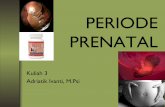 PERIODE PRENATAL · CIRI-CIRI PERIODE PRANATAL 1. Blueprint dari OT ... normal lebih banyak terjadi selama periode pranatal 5. Merupakan masa yang mengandung banyak bahaya, baik fisik