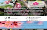 Manual Siembra Sakura - Jardin Flor de Cerezo · 2017-02-18 · INDICACIONES PARA LA SIEMBRA DE ÁRBOLES DE SAKURA Agradecemos la adquisición de su árbol en el Jardín Flor de Cerezo.Sakura