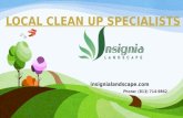 Landscaping Service | Lawn Maintenance Palma Ceia West FL