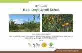 PEDOMAN Budi Daya Jeruk Sehattahun 2011 sebanyak 182.342 ton atau senilai US$ 164,787,966. Jika diasumsikan produksi buah 50 kg/pohon, dengan populasi 400 pohon/ha, maka untuk mengurangi